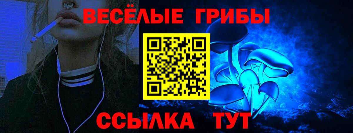 Галлюциногенные грибы мицелий  Вход с VPN  Белорецк 